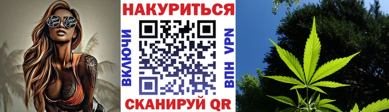 Бошки марихуана VHQ Камышин